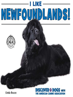 cover image of I Like Newfoundlands!
